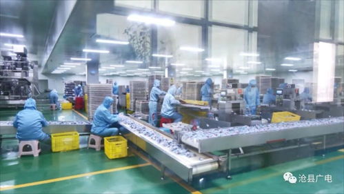 滄縣農產品加工業數字化轉型研討會暨山東軟件開發合作對接會